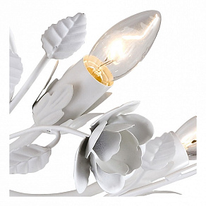 Потолочная люстра Arte Lamp Rosarium A1196PL-8WG