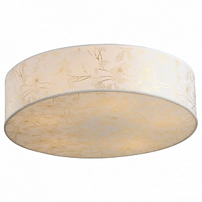 Накладной светильник Arte Lamp Nuvola A9522PL-3WG