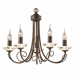 Подвесная люстра Odeon Light Riva 2529/5