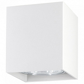 Накладной светильник Ambrella TN TN213139