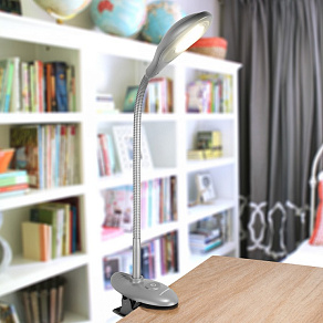 Настольная лампа офисная Elektrostandard Captor a038017