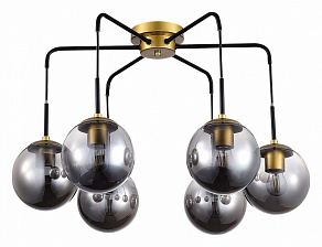 Потолочная люстра EVOLUCE Scorze SLE1097-302-06