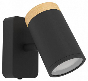 Спот Eglo CONSUMA 300001