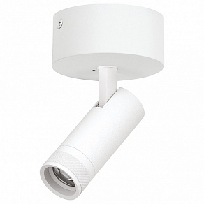 Спот Lightstar Canno Pro C4126SO