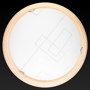 Накладной светильник TopLight Debora TL9540Y-00PN