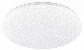 Накладной светильник Ambrella Light  FZ1751