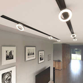 Накладной светильник Elektrostandard Spila 85079/01