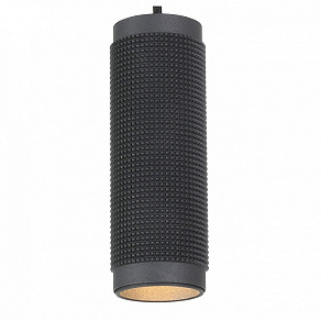 Подвесной светильник Favourite Kinescope 2452-1P