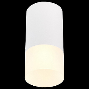 Накладной светильник ST-Luce ST100 ST100.512.01