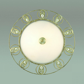 Накладной светильник Odeon Light Kanti 3483/2C