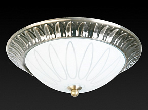 Накладной светильник TopLight Paulina TL5050Y-02AB