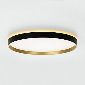 Накладной светильник Citilux ETALON CL750401R