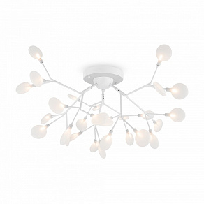 Потолочная люстра Freya Florencia FR5049CL-27W2