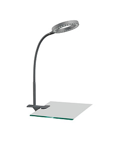 Настольная лампа офисная Arte Lamp Desk A9420LT-1SI