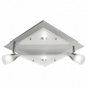 Спот Eglo Newton 88046