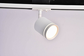 Светильник на штанге Maytoni Orlo TR085-1-5W4K-W