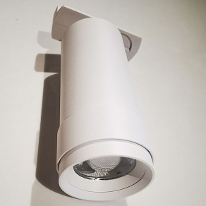 Светильник на штанге Maytoni Focus Zoom TR021-1-12B4K-Z-D-W