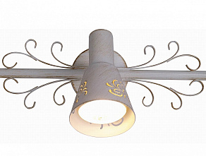 Спот Citilux Дункан CL529532