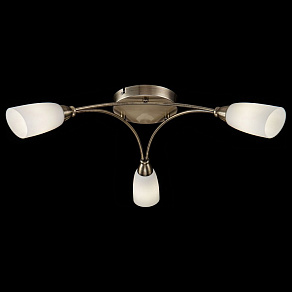 Накладной светильник Freya Alice FR5021CL-03BZ