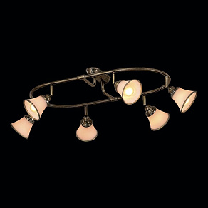 Спот Citilux Прованс CL511163