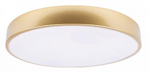 Накладной светильник Loft it Flims 10228/A