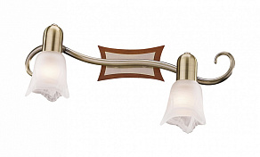 Спот Odeon Light Ilsa 1968/2W