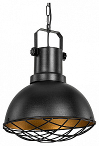 Подвесной светильник TopLight Christiana TL1637H-01BK