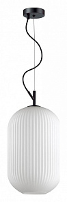 Подвесной светильник Odeon Light Roofi 4752/1