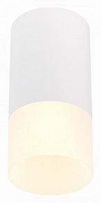 Накладной светильник ST-Luce ST100 ST100.512.01