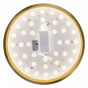 Накладной светильник Zortes Monna ZRS.1209.10