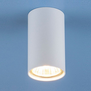 Накладной светильник Elektrostandard 1081 a045436