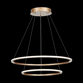 Подвесной светильник ST-Luce ST604 OUT ST604.243.56