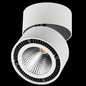 Светильник на штанге Lightstar Forte Muro LED 213830