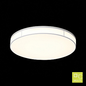 Накладной светильник ST-Luce Fella SL417.512.01