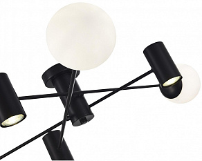 Потолочная люстра EVOLUCE Raito SLE1105-402-06