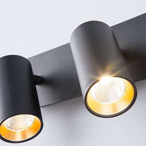 Спот Eurosvet Fleur 20066/2 черный/золото 10W