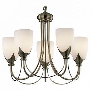 Подвесная люстра Odeon Light Risto 2079/5