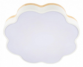 Накладной светильник Loft it Axel 10225/36 White