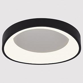 Накладной светильник Arte Lamp None A2698PL-48BK