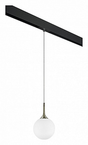Подвесной светильник Lightstar Globo PRO813021