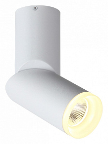 Светильник на штанге ST-Luce Tortelle ST107.502.10