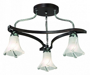 Потолочная люстра Odeon Light Iwo 2237/3С