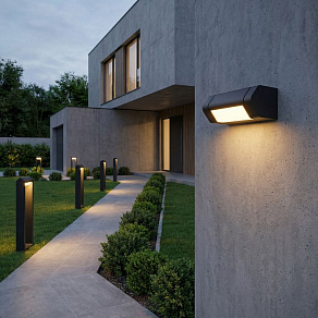 Накладной светильник Elektrostandard DORS 35163/D