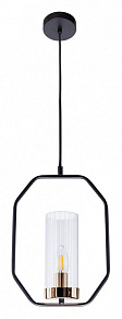 Подвесной светильник Arte Lamp Celaeno A7004SP-1BK