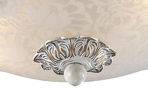 Накладной светильник Odeon Light Bone 2692/2C