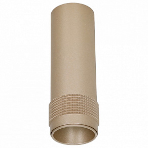 Накладной светильник Favourite Kinescope 2455-1C