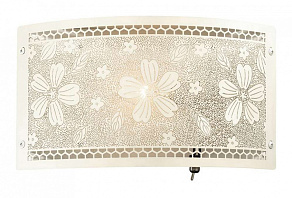 Накладной светильник Odeon Light Apika 2422/1W