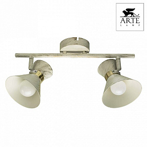 Спот Arte Lamp Baltimore A1406AP-2WG