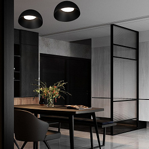 Накладной светильник Loft it Egg 10197/350 BB