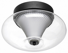 Накладной светильник Lightstar Palermo 612017